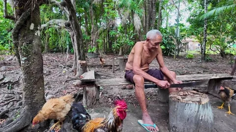 Old indigenous man in the Amazon rainforest at the Guama River in Brazil Stock Footage 307299780