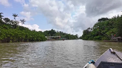 Old indigenous man in the Amazon rainforest at Belem in Brazil Stock-Footage 308515825