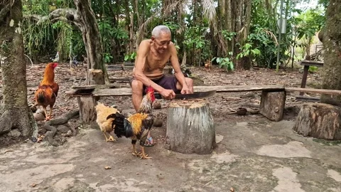 Old indigenous man in the Amazon rainforest at Belem in Brazil Stock Footage 308515855
