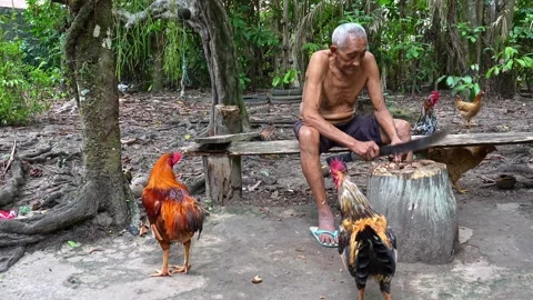 Old indigenous man in the Amazon rainforest at Belem in Brazil Stock Footage 308515875
