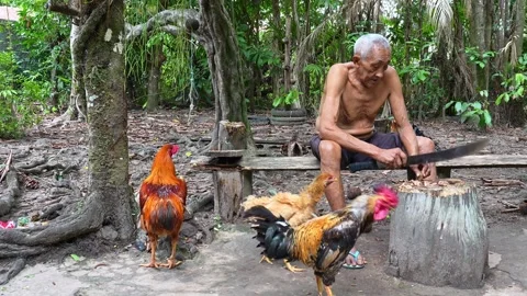 Old indigenous man in the Amazon rainforest at the Guama River in Brazil Stock Footage 309882964