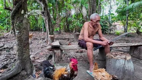 An old indigenous man in the Amazon rainforest Stock Footage 316971022