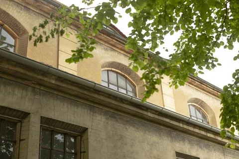 Old industrial building facade framed by leafy tree branches Stockfoto's
