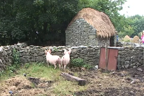 Old Irish Cottage 動画素材 1069448