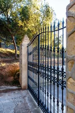 Old iron gate in the Park. Stock Photos