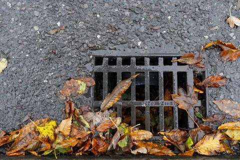 Old iron grates with rust through a long time. iron grating in asphalt with Stock Photos