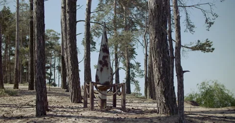 An old iron monument in the pine forest, Vídeo Stock 133499430