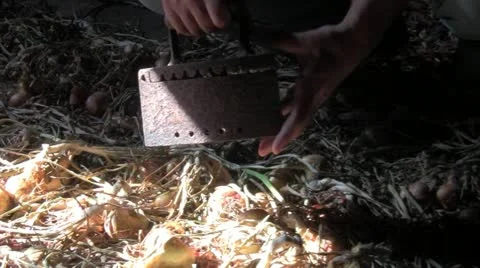 Old irons Vídeo Stock 12268397