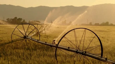 Old irrigation pipes send jets of water over a field, super slow motion, 4k Stock Footage 204045358