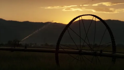 Old irrigation pipes send jets of water over a field, super slow motion, 4k Stock Footage 204045877