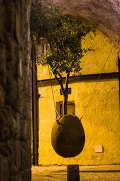 Old jaffa the hanging tree Stock Photos