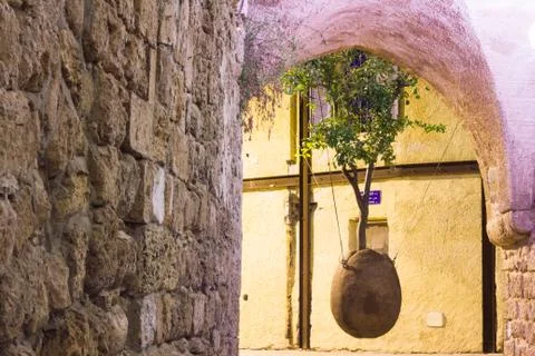Old jaffa the hanging tree Stock Photos