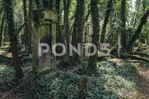 Old jewish cemetery Stock Photos