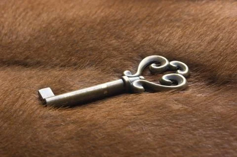 Old key 스톡 사진