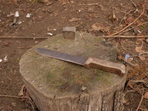 Old kitchen knife with plastic handle lying on a tree stump among soil and le Photos