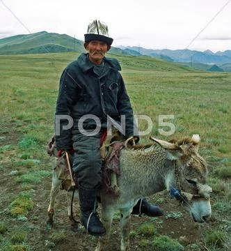 An old kyrgyz rides the donkey in the alay valley Stock Photos