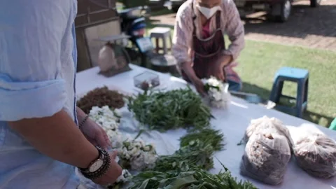 Old Lady and man Picking Up Vegetables Stock Footage 146437224