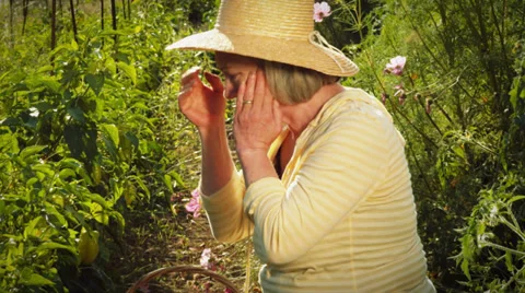 An old lady cringes in pain while kneeling and working in her garden 库存影片 33864704