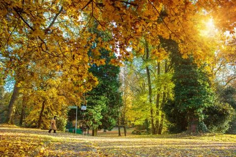 Old lady in the park Stock Photos