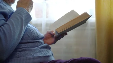 Old lady reading a book while sitting in a cozy chair next to the window Stock Footage 134022539
