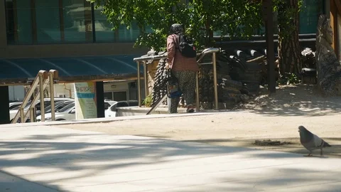 Old lady walk down steps slowly Stock Footage 117106066