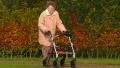 Old lady walking with wheel walker in autumn park n tilt 4k or 4k+ Resolution