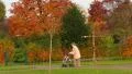 Old lady walking with wheel walker in autumn park  4k or 4k+ Resolution