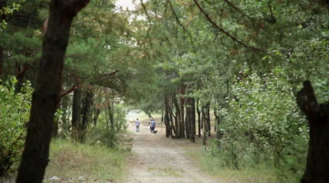 Old ladys walking in foresr Stock Footage 42423021