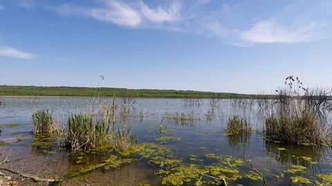 The old Lake and waves Video stock 89426159