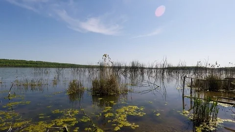 The old Lake and waves Video stock 89426184