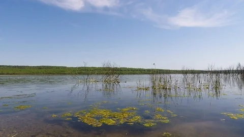 The old Lake and waves Video stock 89426273