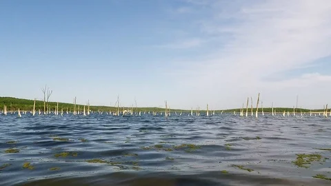 The old Lake and waves Stock Footage 89426457