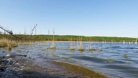 The old Lake and waves Video stock 89426522