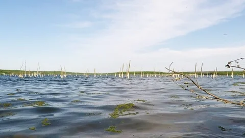 The old Lake and waves Video stock 89426583