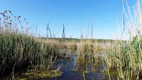 The old Lake and waves Stock Footage 89426746
