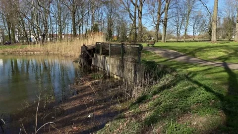 OLD LAKE DAM surrounded by trees grass against blue sky Stock-Footage 185486984