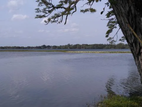 Old lake Stock Photos