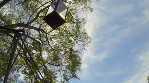 Old Lamp Hangs from a Tree Stock Footage 36150003