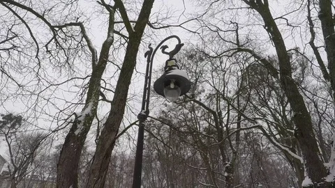 Old lamp in the park, snow and trees Vidéo 72467911