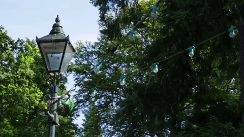 Old Lamp post in forest 動画素材 72671303