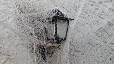 Old lantern Stock Footage 152237041