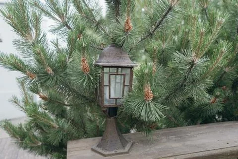 Old lantern in the garden Foto stock