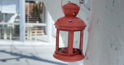Old lantern hanging on a tree outdoors at daytime. Stock Footage 156415268