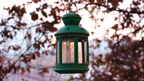 Old lantern lamp at tree Stock Footage 129392617