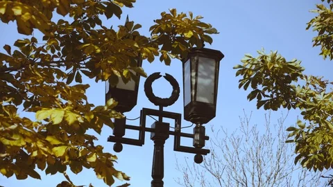Old lantern Light Golden Autumn Plotan Tree Yellow Leafs Stock Footage