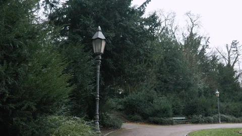 An old lantern in the park near big Christmas trees. Camera movement. Stock Footage 259827664