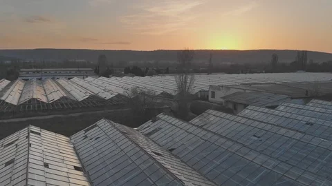 Old large greenhouse. Stock Footage 89872441