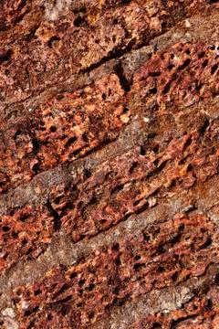 Old laterite wall laterite texture background,Pattern decorative uneven crack Stock Photos