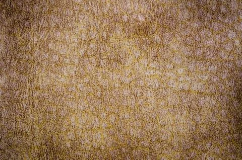 Old leather Stock Photos