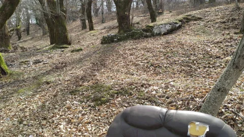 Old leather sofa, ditched and abandoned, in the middle of forest or park, with Stock Footage 232961345